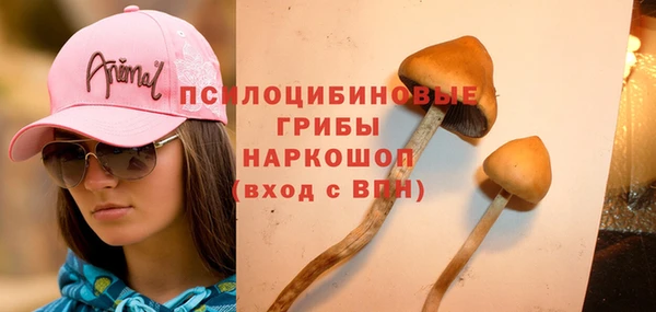 каннабис Кондопога