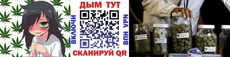 Конопля Bruce Banner  Мглин 